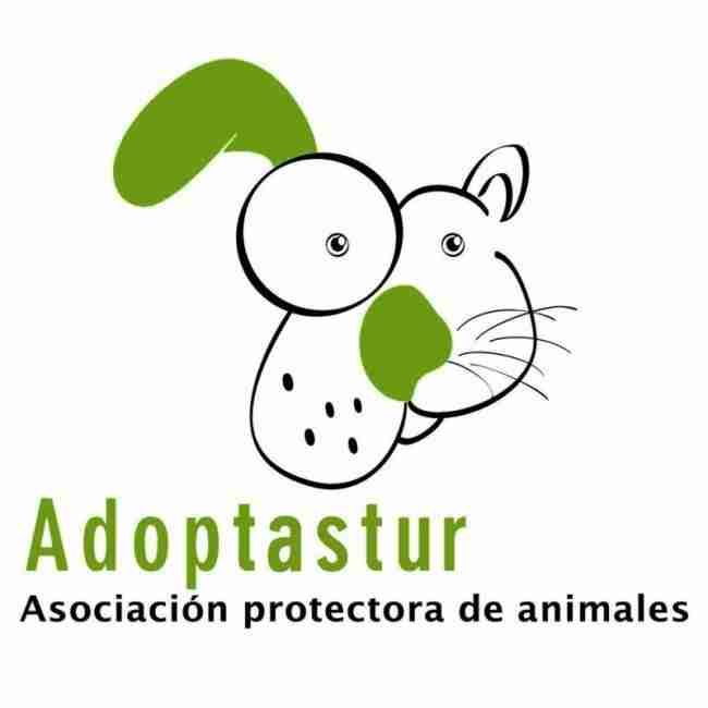 adoptastur donde adoptar perros en Asturias Vicente velasco 