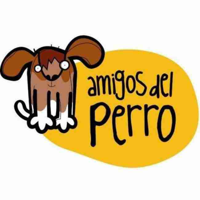 Amigos del perro donde adoptar perros en Asturias Vicente velasco 