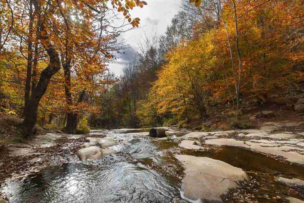 viajarenautocaravana-montseny